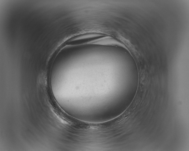 X0000076300060200610061315