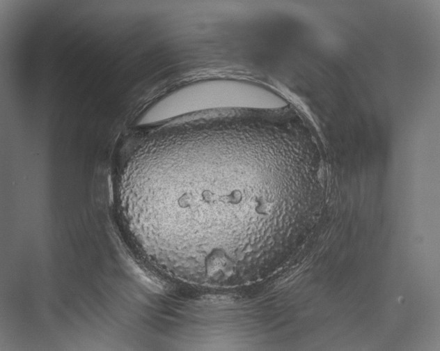 X0000076300061200610061315