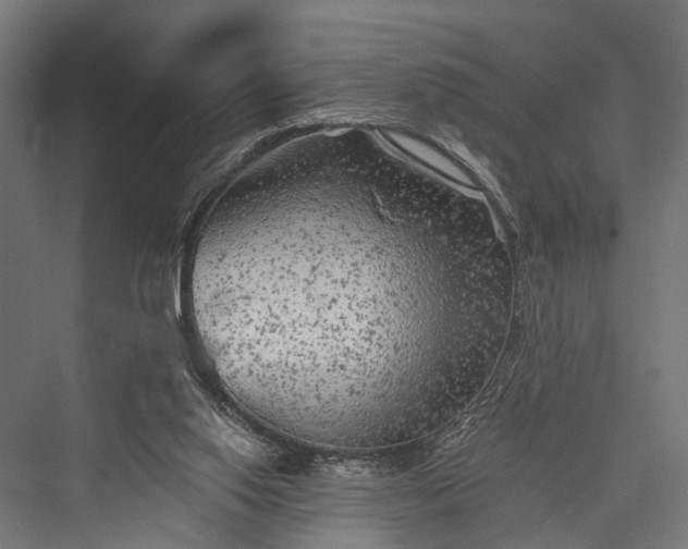 X0000076300062200610061315