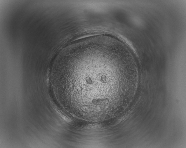 X0000076300065200610061315