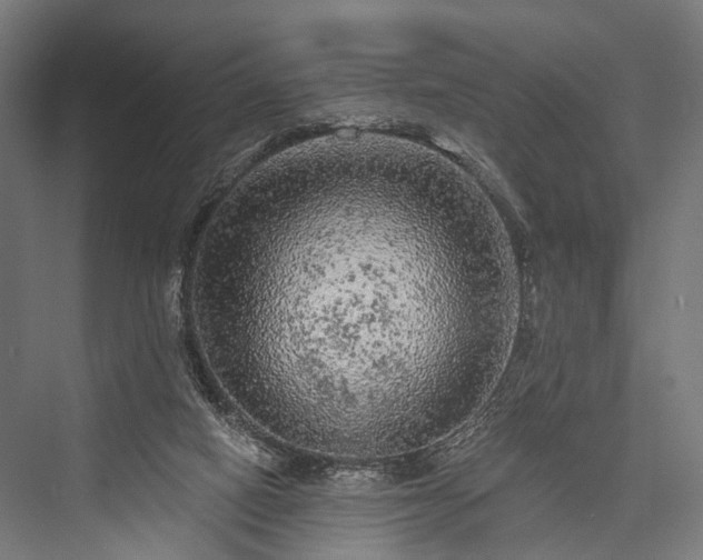 X0000076300066200610061315
