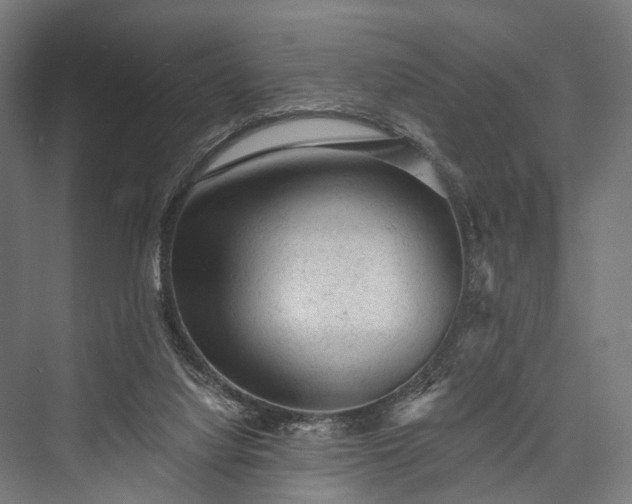 X0000076300068200610061315