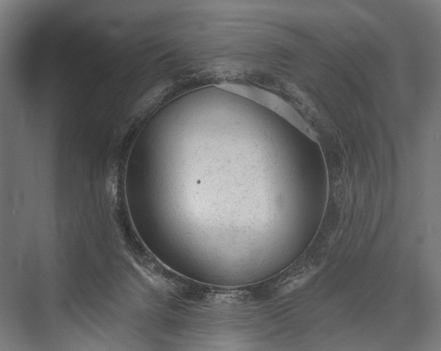 X0000076300072200610061315