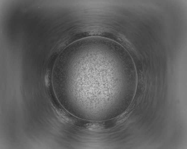 X0000076300074200610061315