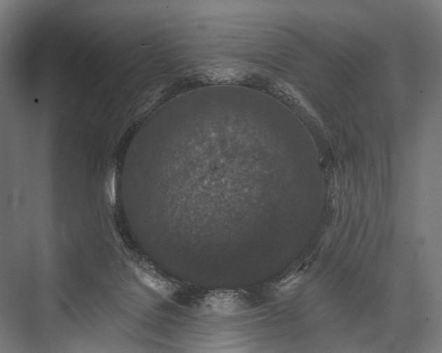 X0000076300076200610061315