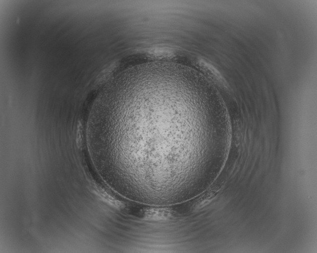 X0000076300077200610061315