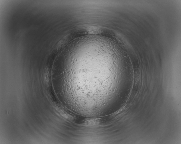 X0000076300078200610061315