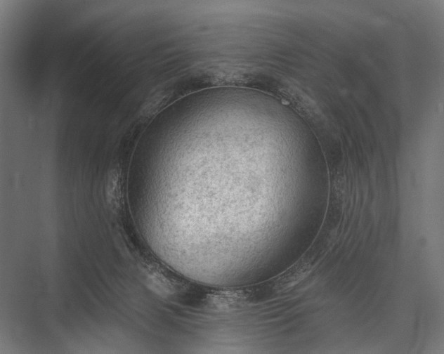 X0000076300079200610061315
