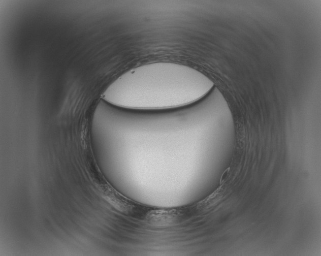 X0000076300082200610061315