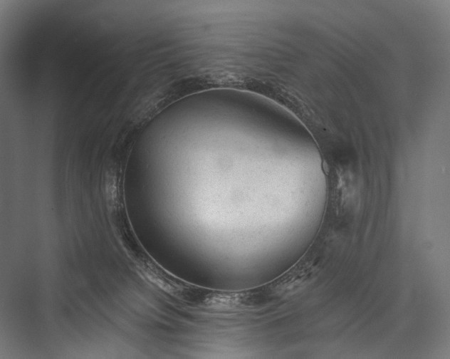 X0000076300084200610061315