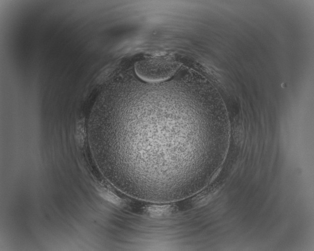 X0000076300085200610061315