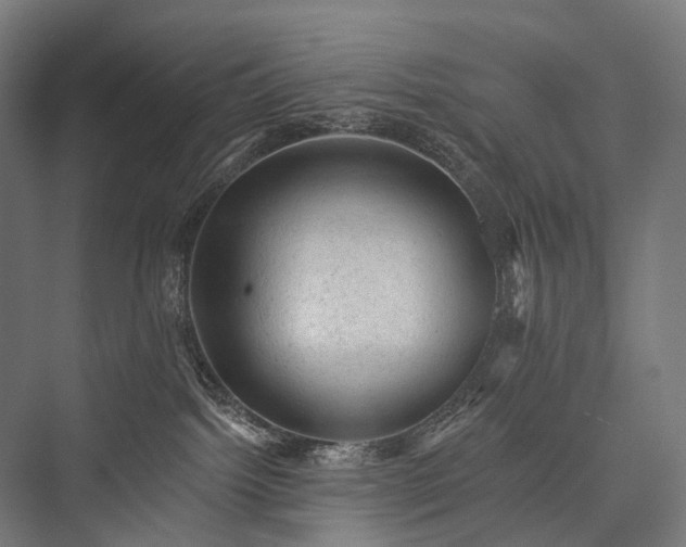 X0000076300092200610061315