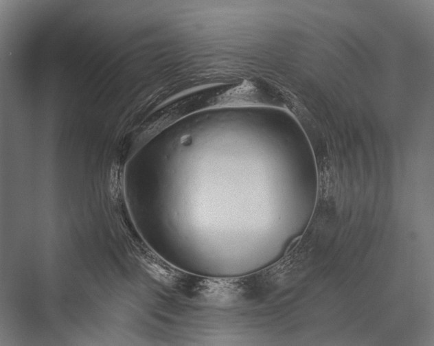 X0000076300093200610061315
