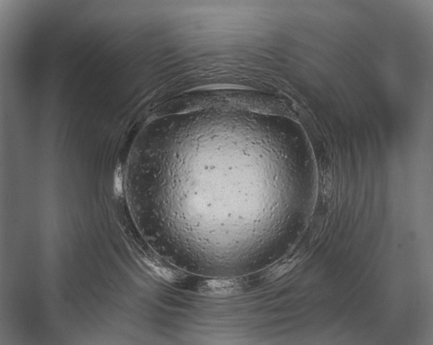 X0000076300095200610061315