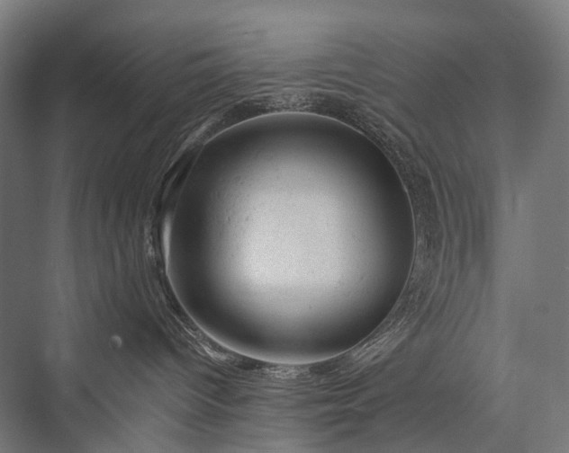 X0000076300096200610061315