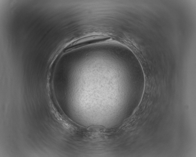 X0000076300098200610061314