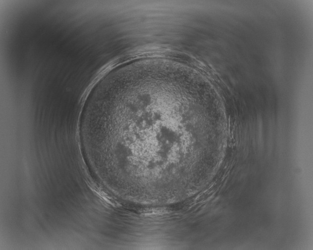 X0000076300099200610061314