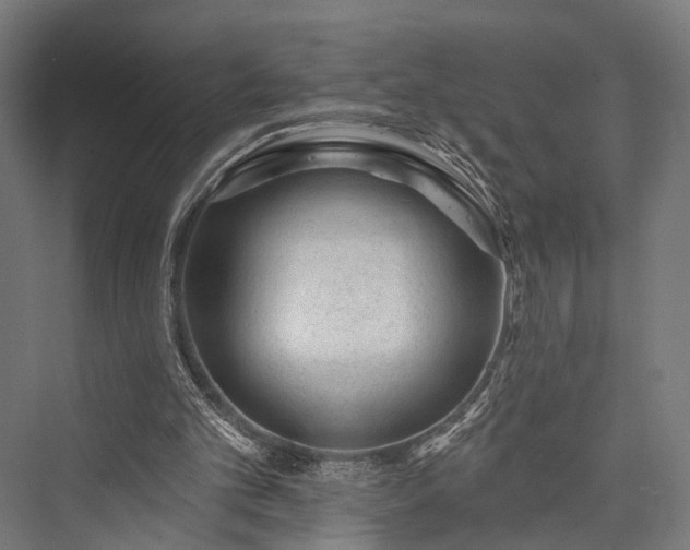 X0000076300101200610061314