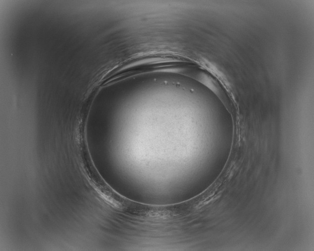 X0000076300105200610061314