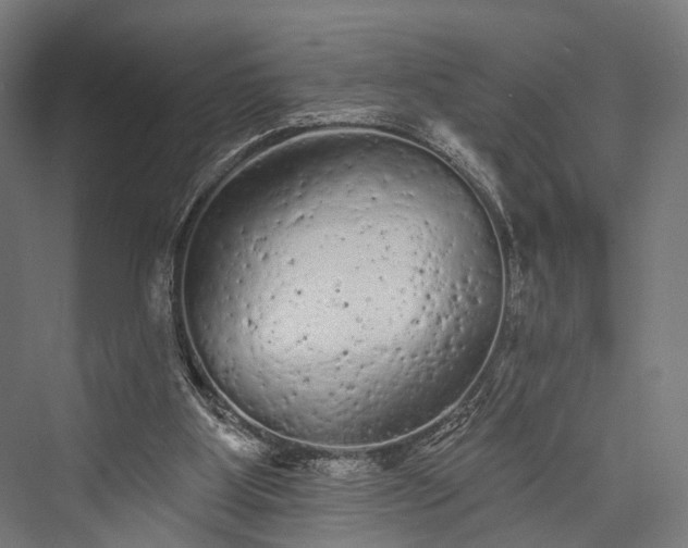 X0000076300107200610061314