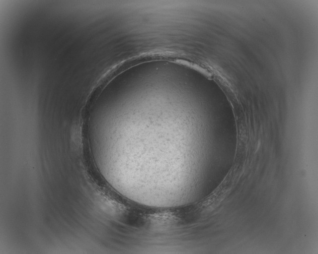 X0000076300112200610061314