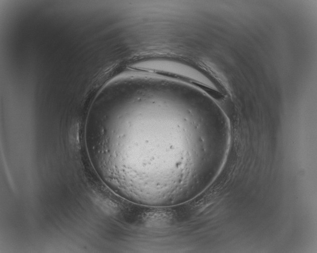 X0000076300115200610061314