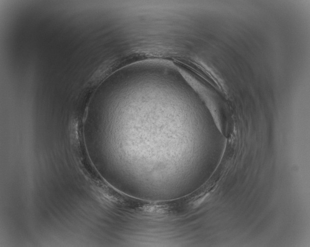 X0000076300117200610061314