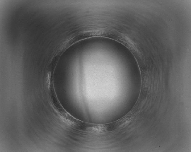 X0000076300118200610061314