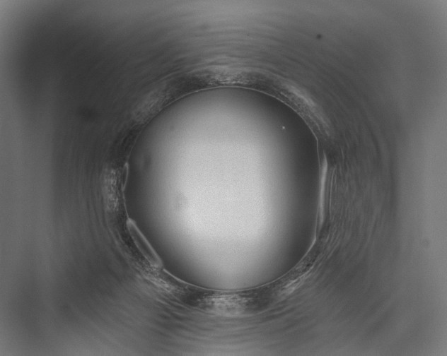 X0000076300121200610061314