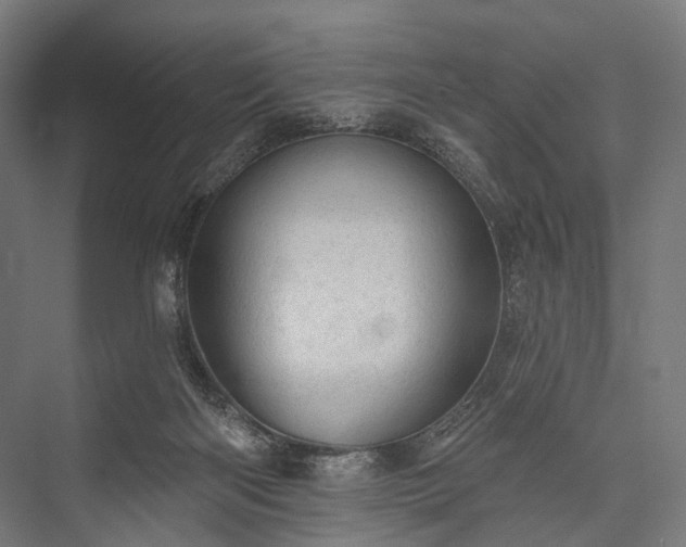 X0000076300122200610061314