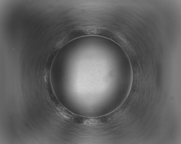 X0000076300125200610061314