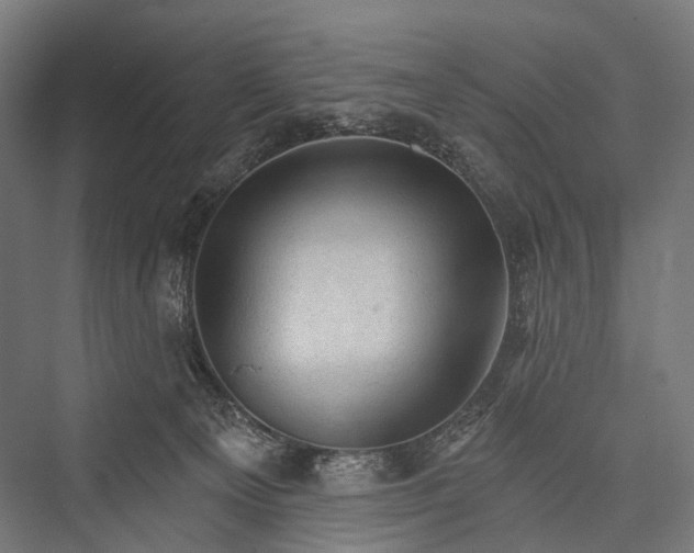 X0000076300129200610061314