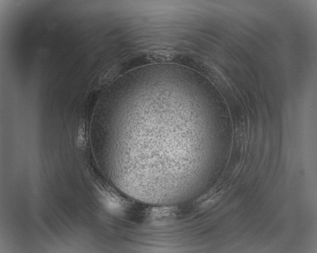 X0000076300134200610061314