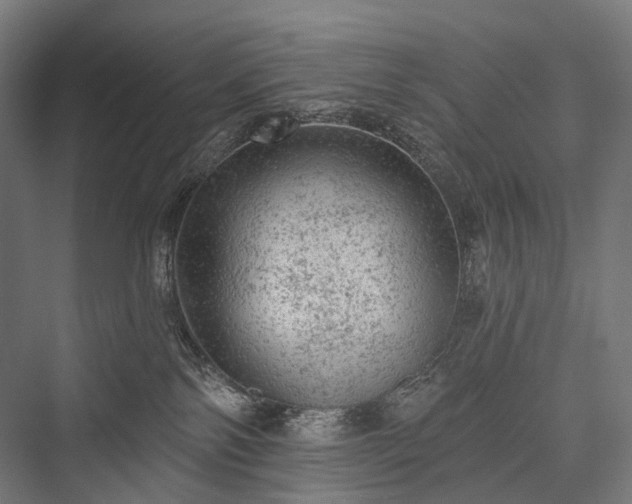 X0000076300138200610061314