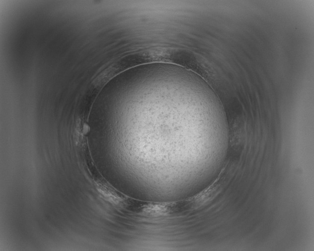 X0000076300140200610061314