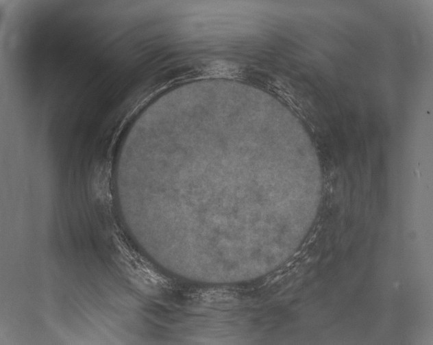 X0000076300146200610061313