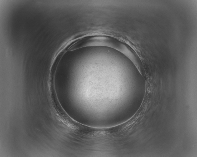 X0000076300152200610061313