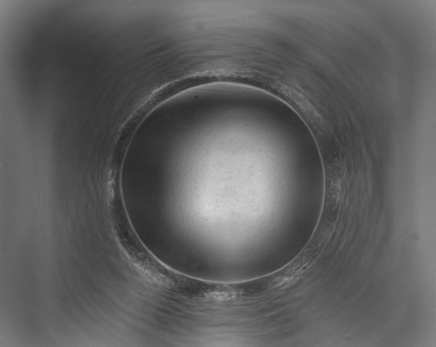 X0000076300160200610061313