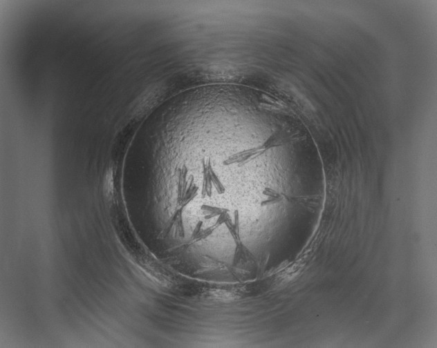 X0000076300166200610061313
