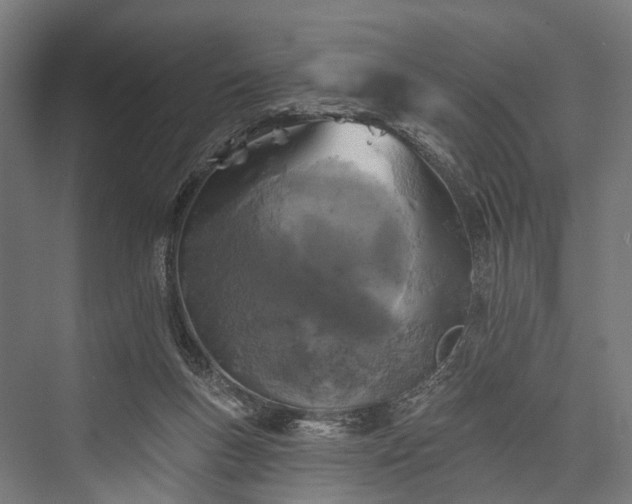 X0000076300167200610061313