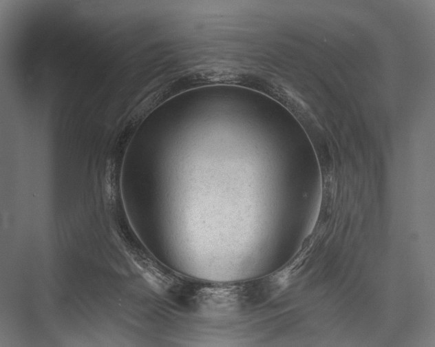 X0000076300170200610061313