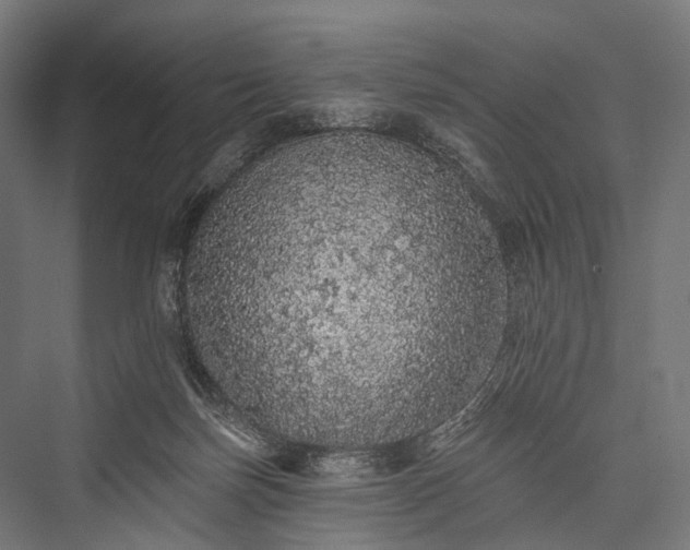 X0000076300171200610061313