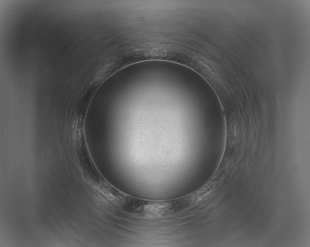 X0000076300172200610061313