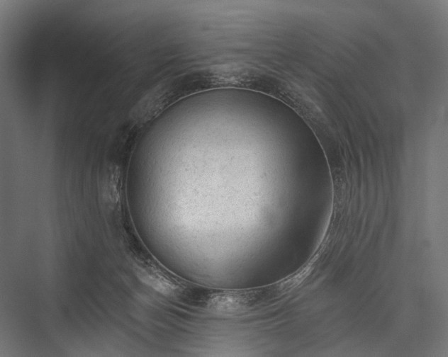 X0000076300174200610061313