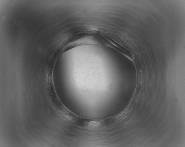 X0000076300176200610061313