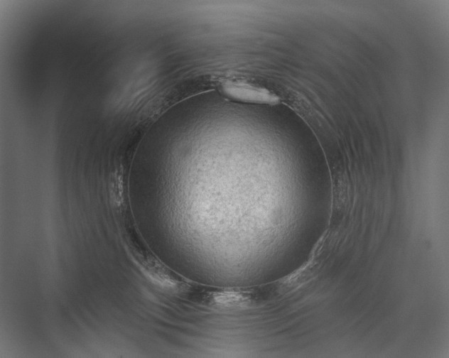 X0000076300183200610061313