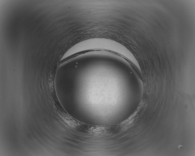 X0000076300186200610061313