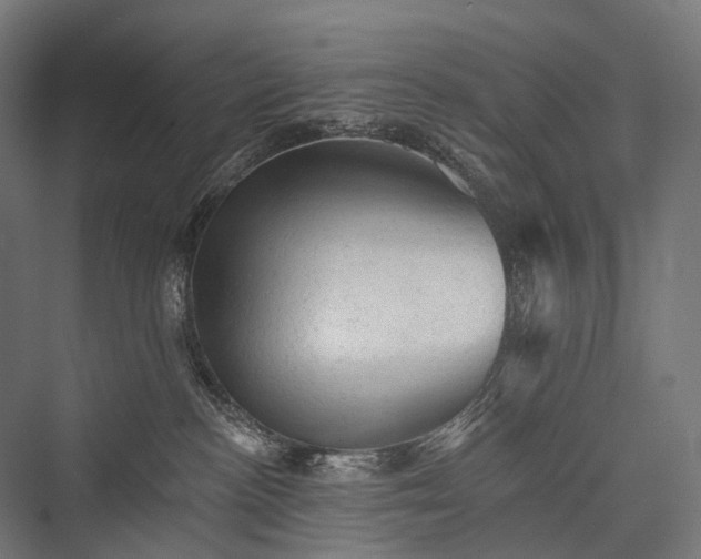 X0000076300188200610061313