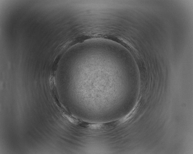 X0000076300192200610061314