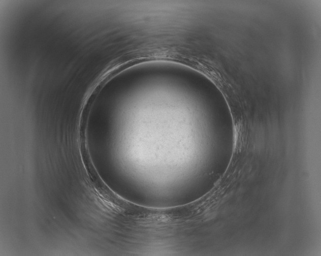 X0000076300195200610061313